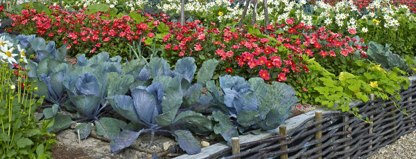 Hochbeete - Vor- und Nachteile