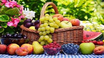Wissen Sie, was Sie tun können, damit Ihre Obstpflanzen in der nächsten Saison mehr Früchte haben? - Haus und Garten Wissen Sie, was Sie tun können, damit Ihre Obstpflanzen in der nächsten Saison mehr Früchte haben?