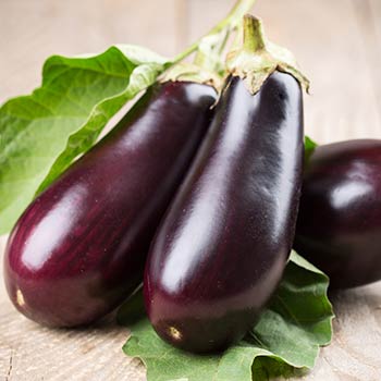 Aubergine