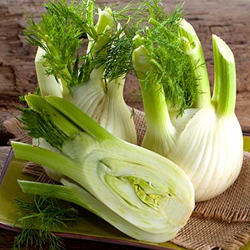 Fenchel