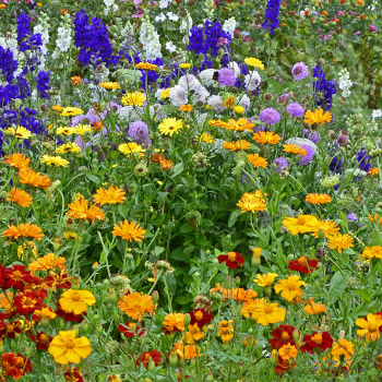 Mischung von Farben