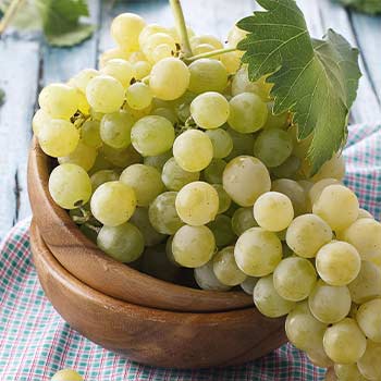 Tafeltrauben