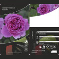 Beetrose Adore Aroma®, С3 interface.image 3 interface.art 2065