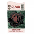 Edelrose Rosa Magia Nera®, C5 interface.image 4 interface.art 5533