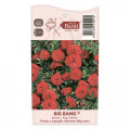 Rose mini Big Bang®, C5 interface.image 3 interface.art 5552