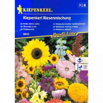 Blumenmischung Kiepenkerl Riesenmischung interface.image 4