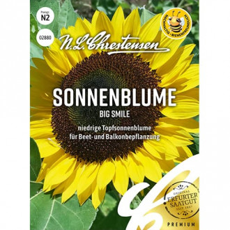Sonnenblume Big Smile Chrestensen interface.image 5