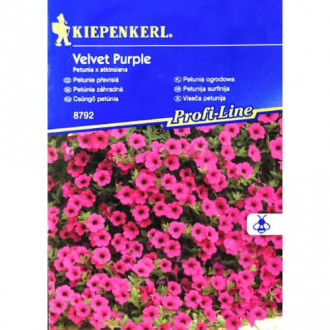 Petunie Velvet Purple F1 Kiepenkerl interface.image 4