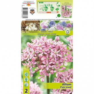 Allium Pink Jewel interface.image 2