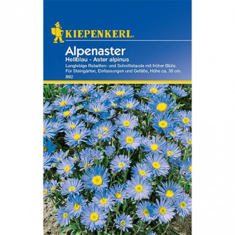 Alpenaster Hellblau interface.image 6