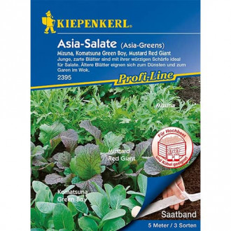 Asia - Salate (Saatband) Kiepenkerl interface.image 3