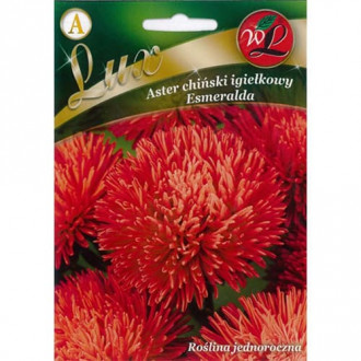 Aster Esmeralda rot interface.image 4