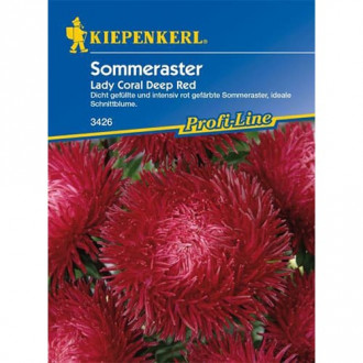 Sommeraster Lady Coral Deep Red interface.image 2