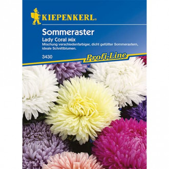 Sommeraster Lady Coral Mischung Kiepenkerl interface.image 6