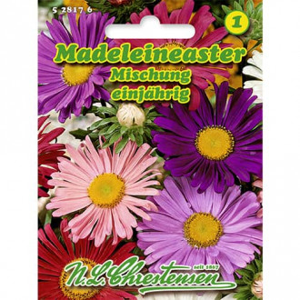 Madeleineaster Mischung interface.image 2