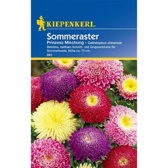 Sommeraster Prinzess Mischung interface.image 1