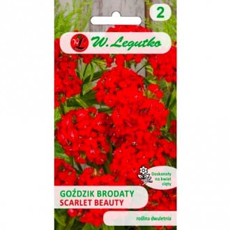 Bartnelke Scarlet Beauty Legutko interface.image 2