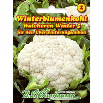 Blumenkohl Walcheren Winter 5 interface.image 5