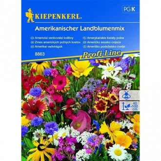 Blumenmischung Amerikanischer Landblumenmix interface.image 3