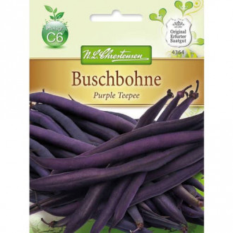 Buschbohne Purple Teepee Chrestensen interface.image 4