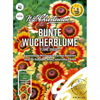 Bunte Wucherblume Flame Shades Bild 7 Bunte Wucherblume Flame Shades interface.image 7