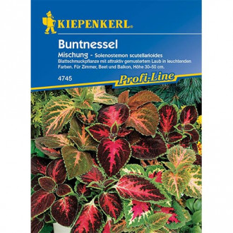 Buntnessel Mischung Kiepenkerl interface.image 1