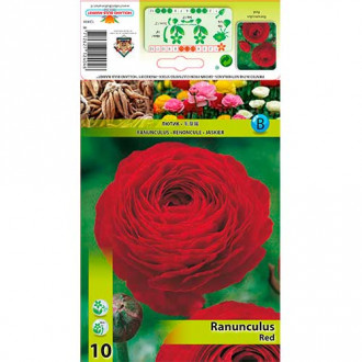 Butterblume rot interface.image 6