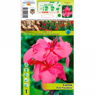 Canna Pink President interface.image 1