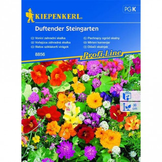 Blumenmischung Duftender Steingarten interface.image 4