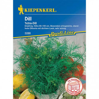 Dill Tetra interface.image 2