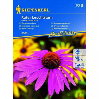 Roter Leuchtstern interface.image 3