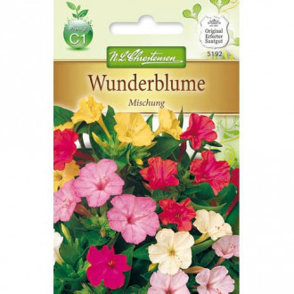 Wunderblume Mischung interface.image 2