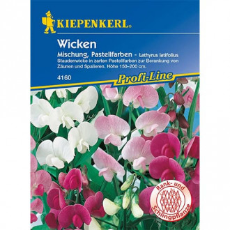 Staudenwicke Mischung interface.image 16