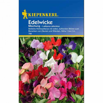 Edelwicke Mishung interface.image 6