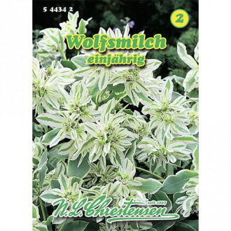 Euphorbia Wolfsmilch interface.image 3