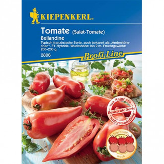 Fleischtomate Bellandine F1 Kiepenkerl interface.image 3