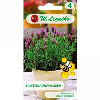 Französischer Lavendel Legutko interface.image 6