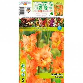 Gladiole Ruffled Princess interface.image 2