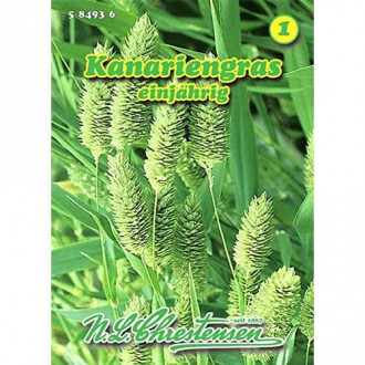 Kanariengras interface.image 4