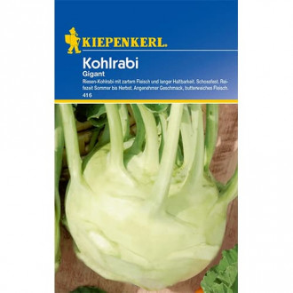 Kohlrabi Gigant Kiepenkerl interface.image 5