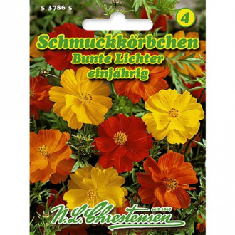 Schmuckkörbchen Bunte Lichter interface.image 5