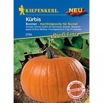 Kürbis Boomer F1 interface.image 6