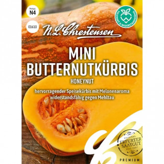 Mini Butternutkürbis Honeynut interface.image 1