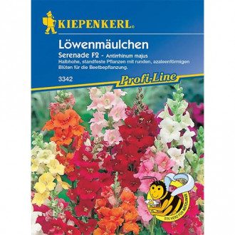 Löwenmäulchen Serenade F2 interface.image 5