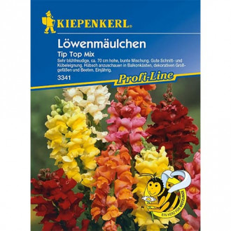 Löwenmäulchen Tip Top Mix interface.image 6
