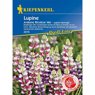 Lupine Avalune Bicolor interface.image 4