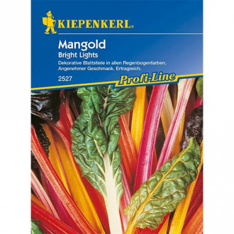 Mangold Bright Lights interface.image 3