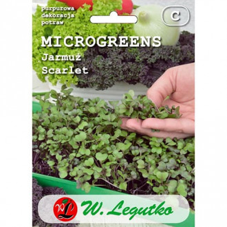 Microgreen - Grünkohl Scarlet rot interface.image 5