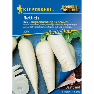 Rettich Rex interface.image 4