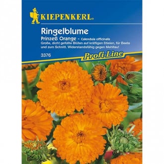 Ringelblume Prinzeß Orange interface.image 6